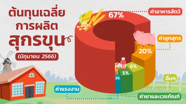 เปิดสัดส่วนต้นทุนผลิตหมูไทย พณ.ไม่ควรกดราคาคนเลี้ยง