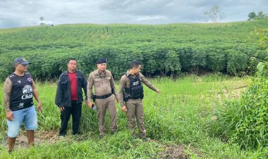 คิดว่าหมูป่า!หนุ่มเฝ้าไร่ข้าวโพดสาดกระสุนปืนลูกซองโดนโพรงจมูกเพื่อนสาหัส