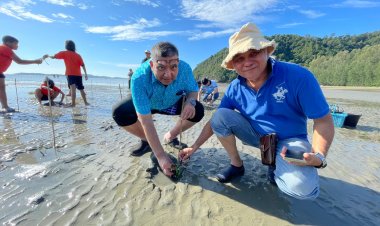 บพข.ลุยเพิ่มแหล่งหญ้าทะเลดูดซับคาร์บอนที่กระบี่