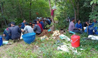 อันซีน!ชาวบ้านเข้าป่าขุดกลอยทำบุญสืบสานงาน"บุญกลอย"หนึ่งเดียวในไทย