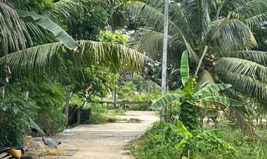 คนร้ายแขวนป้ายผ้าล่อจนท.ตรวจสอบพลาดเหยียบบึ้มอส.บาดเจ็บ 1 นาย