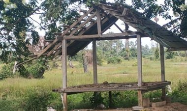 ไฟใต้ระอุ!คนร้ายกดบึ้มหวังสังหารหมู่จนท.ปัตตานี สาหัส 1 เจ็บเล็กน้อย 12