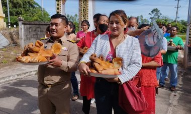 ฮือฮา!ผู้ใหญ่ป้ายแดงอุทัยธานีนำหัวหมู 100 หัวแก้บนหลวงพ่อวัดห้วยขานาง