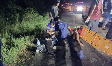 ระทึก!กระบะขนปลานิลชนช้างป่ารถพังคนเจ็บ 3 ช้างเจ็บ-เตลิดหนี