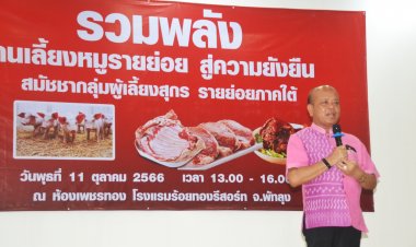 สมัชชาผู้เลี้ยงสุกรรายย่อยใต้เสนอ 3 ระยะ 4 ข้อแก้ราคาตกต่ำ