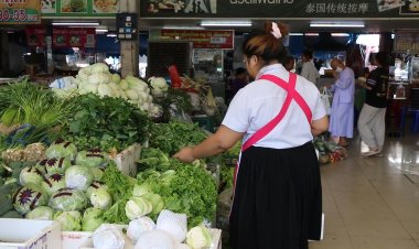 น้ำท่วมพื้นที่เพาะปลูก ผักขยับราคากก.ละ5-10 บาทรับเทศกาลกินเจ