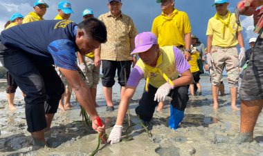 ปลุกคนไทยปลูกหญ้าทะเลซับคาร์บอนวิถีธรรมชาติ