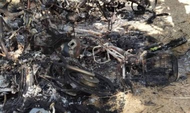 เห็ดโคนแพง!ต่างถิ่นเฮโลแย่งเก็บ มือมืดย่องเผาจยย.ทิ้ง 8 คัน