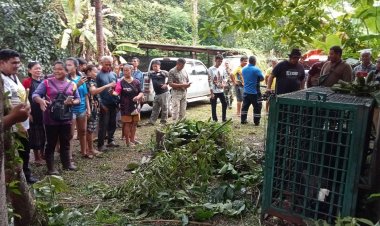 ชาวบ้านโล่งอก!จับหมีควายย่องฉกอาหารถึงครัวคืนสู่ผื่นป่าเขาใหญ่