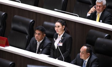 'ธิวัลรัตน์' สส.เพชรบุรี จี้หน่วยงานรัฐเร่งแก้ลิงล้นเมืองหวั่นกระทบท่องเที่ยว