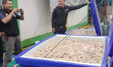 ผงะ!จนท.ลุยตรวจสอบห้องเย็นชายแดนแม่สอดยึดซากหมูเถื่อน  8,000 กก.