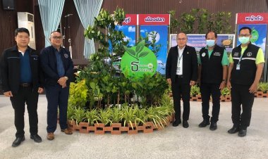 ปี'67 นิคมฯบางชันเพิ่มพื้นที่สีเขียวเขตมีนบุรี/คันนายาว ลดฝุ่น ลดโลกร้อน