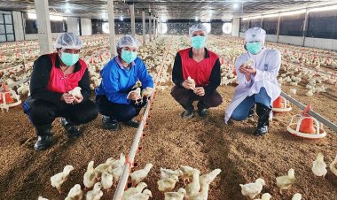 จากเส้นทางธุรกิจเสื้อผ้าสำเร็จรูป สู่ “มั่งคั่งแอนนิมอล” เกษตรกรอัจฉริยะ ในระบบคอนแทรคฟาร์ม