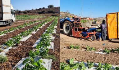 นายจ้างอิสราเอลอัพค่าแรงเป็นแสนล่อทำงานกลางสงครามยิว-ฮามาส