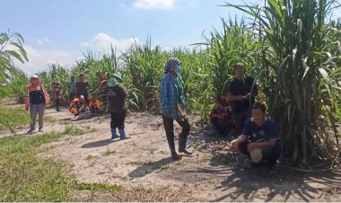 ญาติเชื่อผีบังตา!หนุ่มใหญ่เห็นภาพหลอนหายตัวเข้าป่าอ้อยนาน 3 วัน