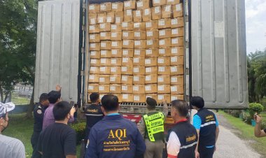 ไก่แช่แข็งเถื่อนทะลักไทย!จับผู้ต้องหาเคลื่อนย้ายซากสัตว์ 2.7 หมื่นกก.ไม่ได้รับอนุญาต