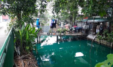 แตกตื่น!น้ำในคลองท้ายเมืองกลายเป็นสีเขียวชาวบ้านหวั่นเป็นอันตราย