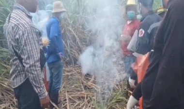 พบแล้วหนุ่มใหญ่หายตัว 4 วันกลายเป็นศพนอนขึ้นอืดกลางป่าอ้อย