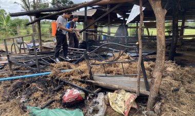 อุทาหรณ์ก่อกองไฟไล่ยุงลามไฟไหม้คอกวัวสูญเงินกว่า 5 หมื่นบาท