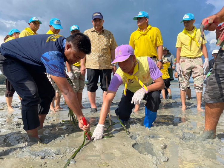 ปลุกคนไทยปลูกหญ้าทะเลซับคาร์บอนวิถีธรรมชาติ