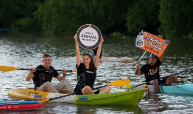 องค์กรพิทักษ์สัตว์แห่งโลกรณรงค์ต้านเชื้อดื้อยาจากฟาร์มอุตสาหกรรม