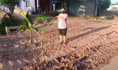 สุดทน!เจ้าของบ้านปลูกต้นกล้วยประชดผู้รับเหมาชุ่ยปล่อยเข้าออกบ้านลำบาก