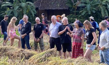 ฮือฮา!เมืองสามหมอกสอนฝรั่งลงแขกเกี่ยวข้าวนานาชาติ