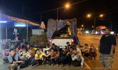 สกัดจับแรงงานเถื่อน 29 คนซุกรถขนดอกไม้จากตาก