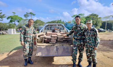 ผงะ!มอดไม้ใช้แรงงานมดต่างด้าวขึ้นตัด-ขนไม้พะยูงบนเขาใหญ่