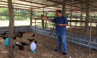 กำนันโคราชโมเดลเกษตรผสมผสานพลิกที่ดิน 1 ไร่ เลี้ยงกบ-ปลา-หมู-ไก่ กินไม่หมด ไร้หนี้