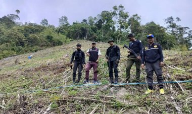 มทภ.4 เร่งล้อมคอกสกัดแก๊งมอดไม้ทำลายป่าต้นน้ำเขื่อนบางลางปัตตานี