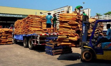 2 ศึกสงครามโลกฉุดราคายางพาราวูบ-ส่งออกไทยเดี้ยง