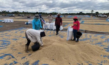 ชาวนายโสธรยึดสนามบินเลิงนกทาตากข้าวบนรันเวย์ ชี้ไม่เสี่ยงตาย-ไม่ผิด ก.ม.