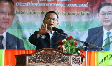 ชูสุโขทัยโมเดลเลี้ยงวัวยกระดับชีวิตชาวบ้านจับเงินแสน