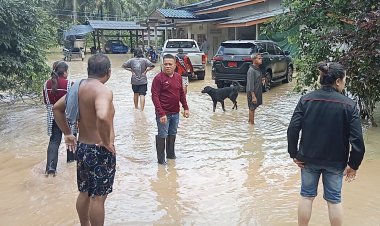 "พีระพันธุ์"สั่งสส.รทสช.ลงพื้นที่ช่วยเหยื่อน้ำท่วมภาคใต้