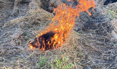 ชาวนาพิมายเมินกม.จุดไฟเผาตอซังข้าวก่อมลพิษพุ่ง