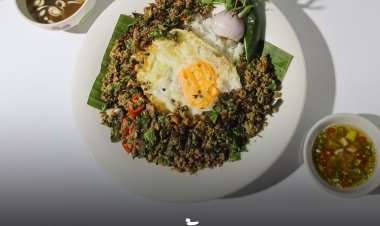 ปักหมุดชวนชิมเมนูกะเพราระดับโลกจาก 10 สุดยอดร้านผัดกะเพราทั่วไทย