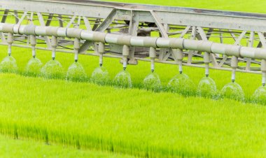 'วรุณา'กางแผนส่งเสริมเกษตรกรปลูกข้าวเปียกสลับแห้ง ลดต้นทุนปุ๋ยแพง เพิ่มรายได้