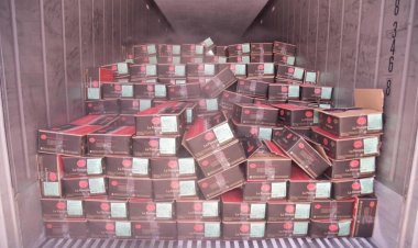 สืบจาก 161 ตู้ “หมูเถื่อน”สู่การยึดทรัพย์ : อวสานหมูเถื่อน