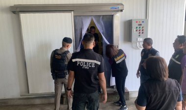 แม่สอดเปิดปฎิบัติการตรวจค้นหมูเถื่อน 10 แห่งไร้ผิดกม.