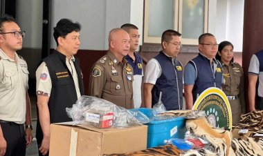 ปทส.ทลายแก๊งค้าซากเสือออนไลน์ยึดกว่า 500 ชิ้น