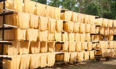 ส่งออกยางไทยเดี้ยงจีนยักษ์ใหญ่โลกออเดอร์หดเหตุยุโรปไม่ซื้อสินค้าจากแดนมังกร