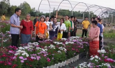 เปิดแล้ว!"สวนดอกไม้วนิดา"ต้อนรับฤดูหนาวกระตุ้นท่องเที่ยวศรีสะเกษ