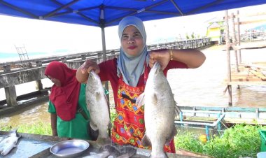 ไม่ง้อพ่อค้าคนกลาง "ชาวประมงสงขลา"ขายปลากะพงริมถนนกก.ละ 150