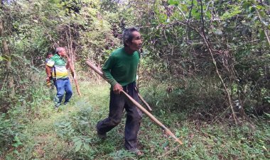 คนสู้ชีวิต'ลุงอ้วน' เดินเท้าเปล่าเข้าป่าขุดมันลึกเกือบ 3 ม.ขายเลี้ยงครอบครัว