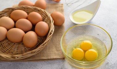 รักใครให้กินไข่ สัตวแพทย์ ชูไข่ไก่ สุดยอดอาหารจากแม่ไก่