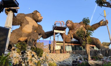 อลังการ "บ้านฮักตำคาเฟ่" คิงคองยักษ์คู่รักที่ใหญ่ที่สุดในไทย
