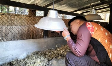 สวนสัตว์ขอนแก่นใช้สารพัดวิธีคลายหนาวให้สัตว์ป่า