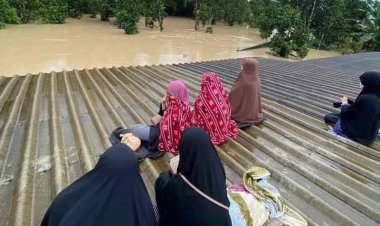 ฝนถล่มปลายด้ามขวาน บางนราฯ-ยะลา ท่วมหนัก รอบหลายปี ประชาชนเดือนร้อน ถนนขาด