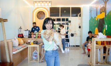 พิจิตรคาเฟ่แมวรับฝากเลี้ยงดูแลเพื่อให้เจ้าของแมวเหมียวเที่ยวปีใหม่ได้อย่างสบายใจ